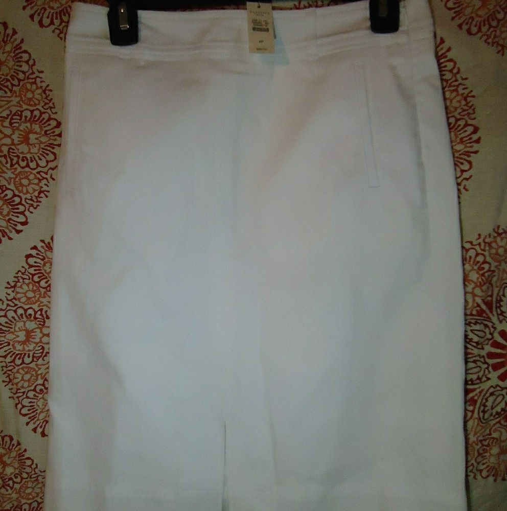 Talbots Skirt